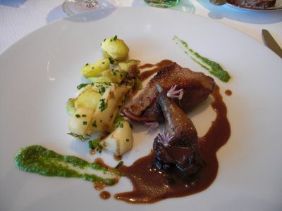 pigeon